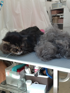 Screenshot_20260428-223334_copy_1054x1405_1