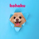 1775181923998_copy_3072x4096