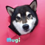 1775282439903_copy_2769x3693