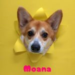 1775479122950_copy_2216x2954