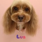 1775547043207_copy_2216x2954