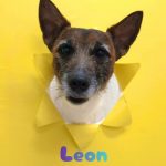 1775737219111_copy_2216x2954