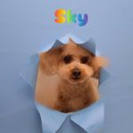 1775818865660_copy_3072x4096