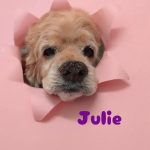 1776070008622_copy_3072x4096