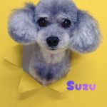 1776170551242_copy_2832x3777