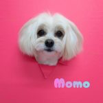 1776427388517_copy_2952x3936