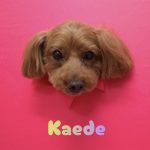 1776515013897_copy_2525x3367