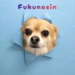 1776760921091_copy_2726x3635