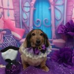 20251028_123554_copy_1965x2621