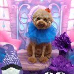 20251030_183747_copy_1958x2610