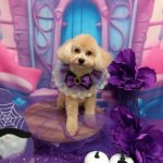 20251031_160834_copy_2055x2740