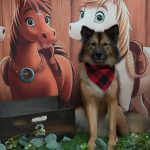 20251101_185705_copy_1825x2433