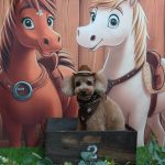 20251104_171912_copy_1919x2559