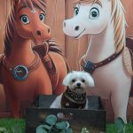 20251106_183824(1)_copy_1963x2618