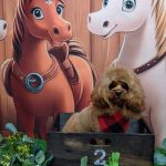 20251107_123930~2_copy_1802x2403