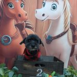 20251108_143240_copy_1942x2589