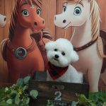 20251110_151923_copy_1979x2640