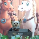 20251111_144401_copy_1884x2511