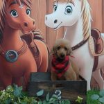 20251117_162202_copy_1884x2511