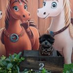 20251120_181144(1)~2_copy_1791x2386