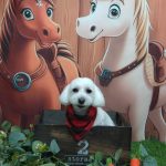 20251121_115452_copy_1919x2559