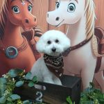 20251122_151628_copy_1861x2481