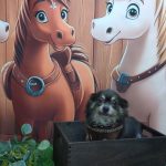 20251125_190300_copy_1962x2616