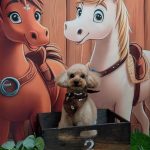 20251127_185558~2_copy_1850x2465_1