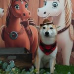 20251128_134522_copy_1926x2568