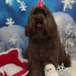 20251201_130325_copy_2046x2727