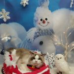 20251202_150234_copy_2056x2742