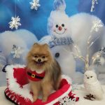 20251204_101344_copy_2014x2684~2_copy_2358x3143