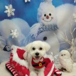 20251205_141327_copy_1944x2592