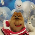 20251206_155922_copy_2077x2769