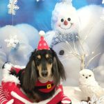 20251208_141049_copy_2016x2688