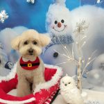 20251211_143825_copy_1980x2640