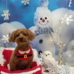 20251213_184810_copy_1984x2646_1