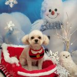 20251215_143713(1)_copy_1944x2592