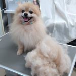 20251216_114400_copy_1944x2592