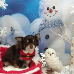 20251218_105316_copy_1884x2512