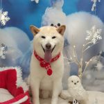 20251219_124216_copy_1968x2624