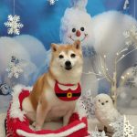 20251220_134047_copy_1944x2592