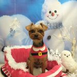 20251222_170243~2_copy_2050x2733