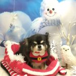 20251223_185101_copy_2084x2779