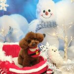 20251225_150309(1)~2_copy_2004x2673