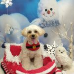 20251226_160938_copy_2022x2694