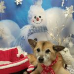 20251229_133602~2_copy_2048x2731