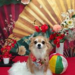 20260105_111050_copy_1945x2591