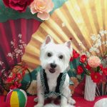 20260108_121319~2_copy_2004x2673