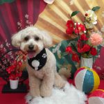 20260109_184645~2_copy_1854x2474